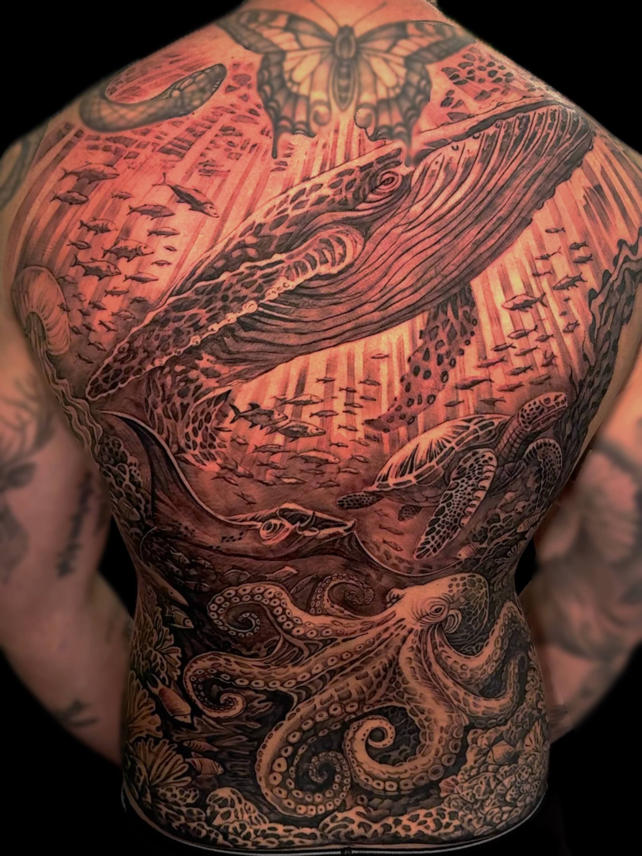 kc's work 5